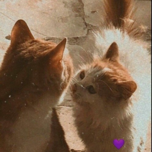 <3