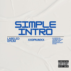 Simple Intro - Single