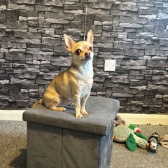 MIX 40 TECH HOUSE 4DECKS ACTIVE