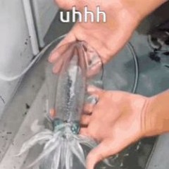 Be clear (2022 sketch)