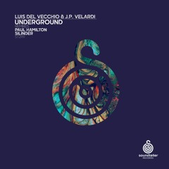 Luis Del Vecchio, J.P. Velardi - Underground (Paul Hamilton Remix) Snippet