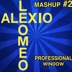 Professional Widow (AleXio & Leomeo Mashup)