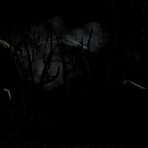 Forest Cliffs