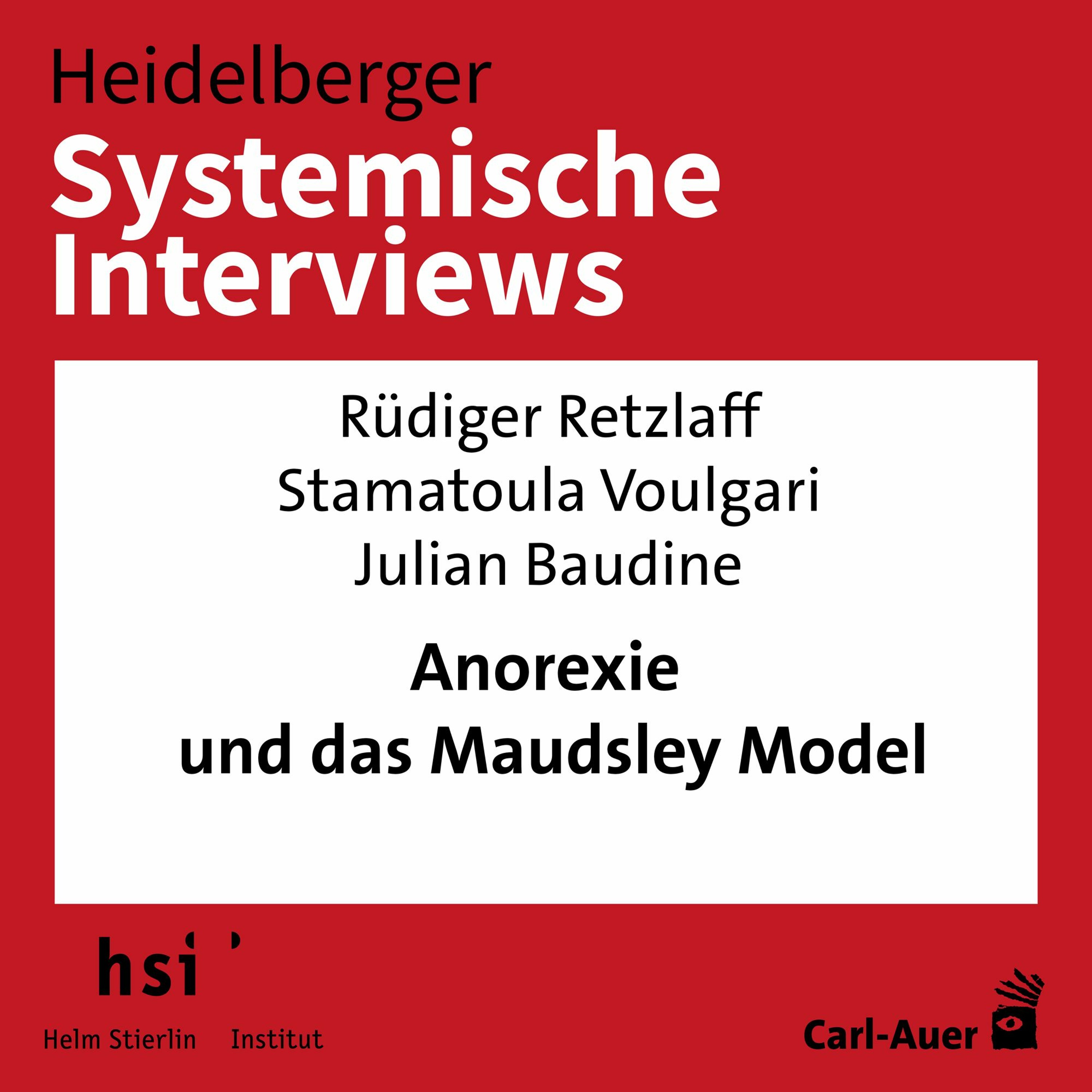 Heidelberger Systemische Interviews