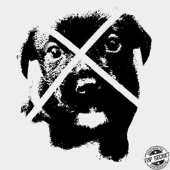 мертвая собака