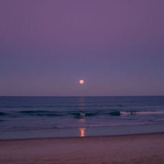 سورة الرحمٰن | هزاع البلوشي