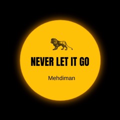 Mehdiman - Never Let It Go