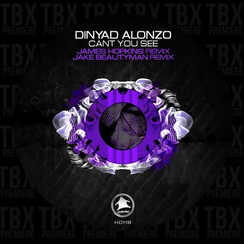 Premiere: Dinyad Alonzo - Can't You See (Jake Beautyman Remix) [Household Digital]