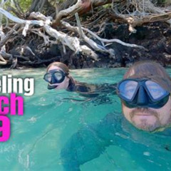 Best Snorkeling In Hilton Head Sc Prices Reviews