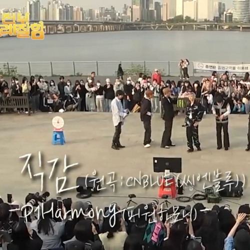 P1Harmony (피원하모니) - 230519 직감 Live in 전국노래잘함
