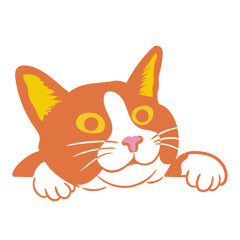 What's a girl to do?