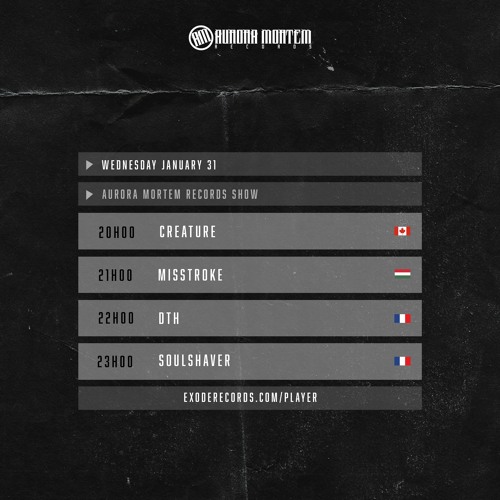 MisStroke - Aurora Mortem Records show 31.01.24