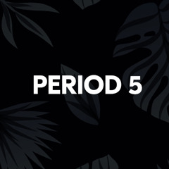 Period 5, 2024-2025
