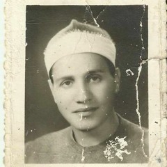 وَتَفَقَّدَ الطَّيْرَ | النمل ٢٠-٢٥ | محمد أحمد شبيب
