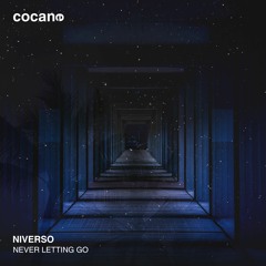 NIVERSO - Never Letting Go