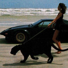 Fast Car (album throwaway #2)