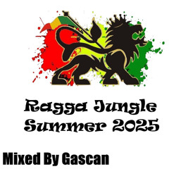 Ragga Jungle Drum and Bass Mix Summer 2025