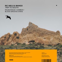 RIC NIELS & MANGO Trip To South Trip To South (djimboh Remix)