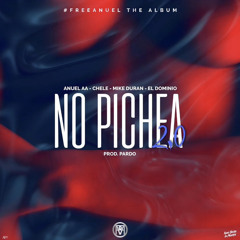 No Pichea 2.0