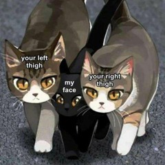 Guess you wonder where ive been