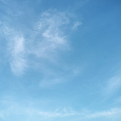 Blue Sky Blue🦋