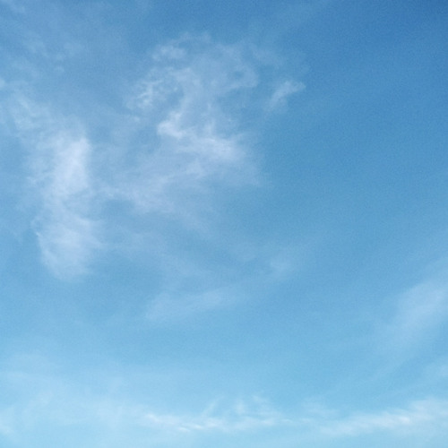 Blue Sky Blue🦋