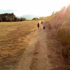 Blaukraut - Klitter (Escape - 2019)