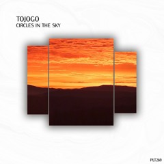 DHS Premiere: Tojogo - Etesian (Extended Mix) [Polyptych]