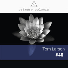 Primary [colours] Mix Series #40 - Tom Larson