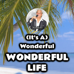 WONDERFUL LIFE