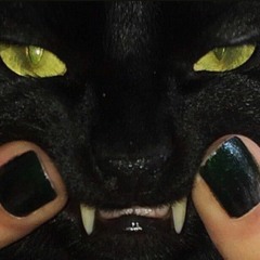 sad cat song