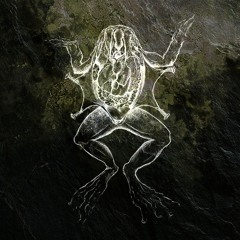 [DISSECTION031] w/ AHIL