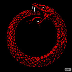 There's Snakes In The Weeds And They’re Biting (prod. SCARY MIND)