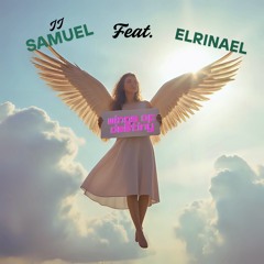 Wings Of Destiny (Feat Elrinael)