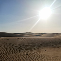 LizT X Marian - Desert