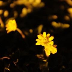 макулатура - мокрый снег