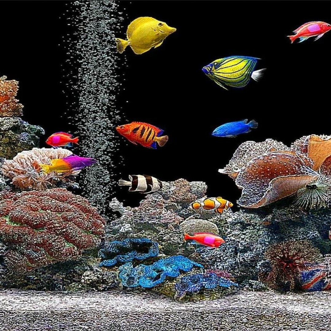 Stream WINDOWS XP FISHTANK SCREENSAVER by tekunoraizu | Listen online ...