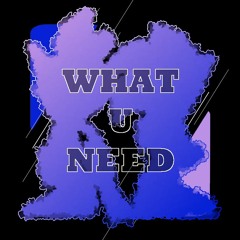 What U Need (Sonic Rush Remix)