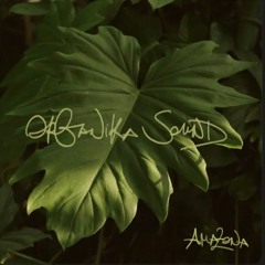 Organika Sound x Sosehol - Amazona (Taptune Rework) FREE DOWNLOAD