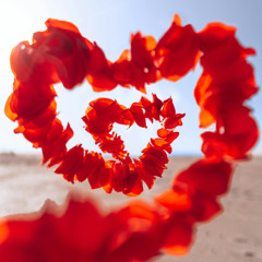 Go Get Love