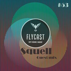 Flycast #53 | Squell