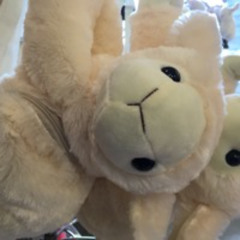 君はかっこいい(feat.B&P)