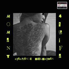 Moment 4 Life (Remix)