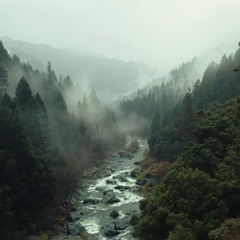 lost - iayze x regalia x ambient type