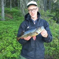 Vardagskrök – Ett bultande hjärta