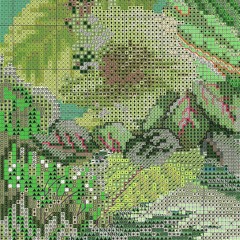 Oasis Radio: Paisley