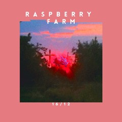 Raspberry Farm