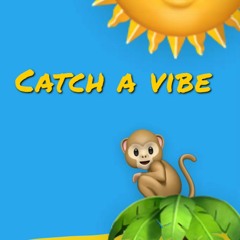 Catch A Vibe Feat Special Kay (Now on SPOTIFY))