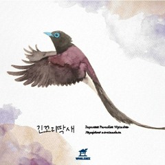 새들의 인사 - 긴꼬리딱새