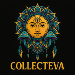 F(u)ill on set DJ COLLECTEVA